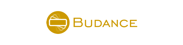BuDance logo