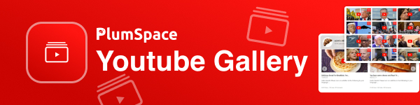 Youtube Gallery logo